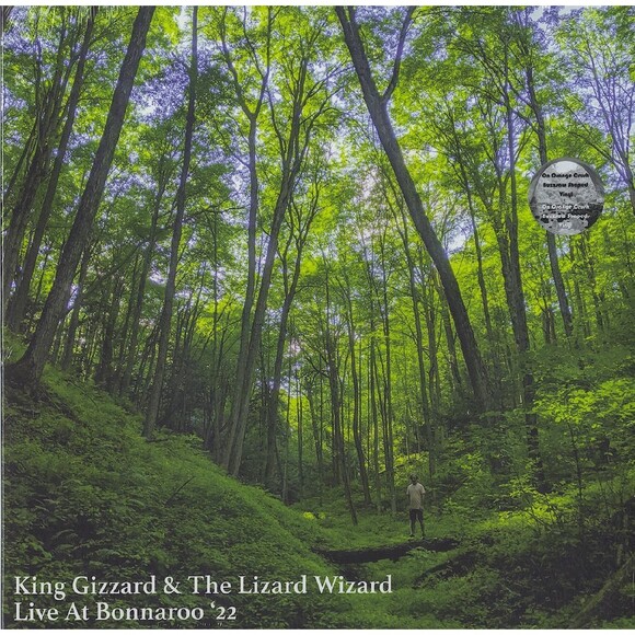 King Gizzard and the Lizard Wizard, Live At Bonnaroo ’22, Orange Buzzsaw Shaped - Picture 1 of 2